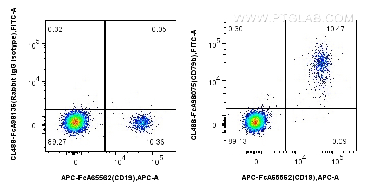 FC experiment of human PBMCs using CL488-FcA98075 FC experiment of human PBMCs using CL488-FcA98075