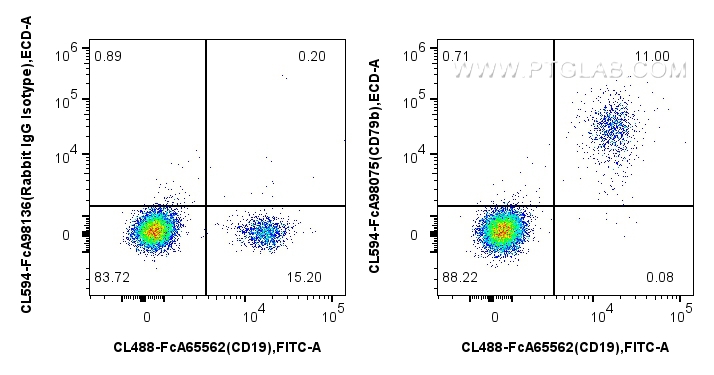 FC experiment of human PBMCs using CL594-FcA98075 FC experiment of human PBMCs using CL594-FcA98075