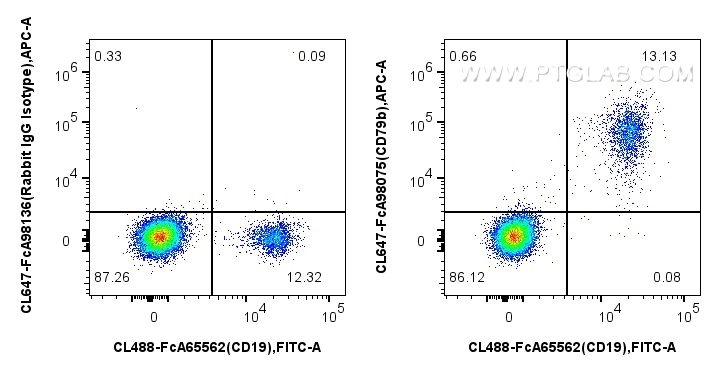 FC experiment of human PBMCs using CL647-FcA98075 FC experiment of human PBMCs using CL647-FcA98075