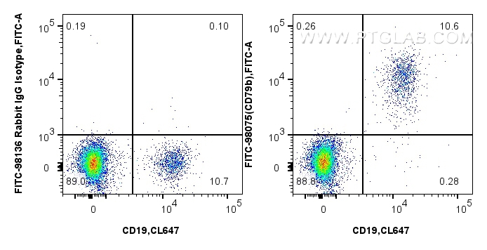 FC experiment of human PBMCs using FITC-98075