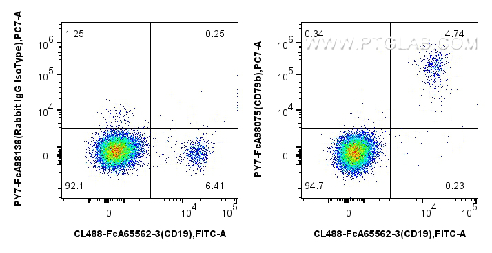 FC experiment of human PBMCs using PY7-FcA98075 FC experiment of human PBMCs using PY7-FcA98075