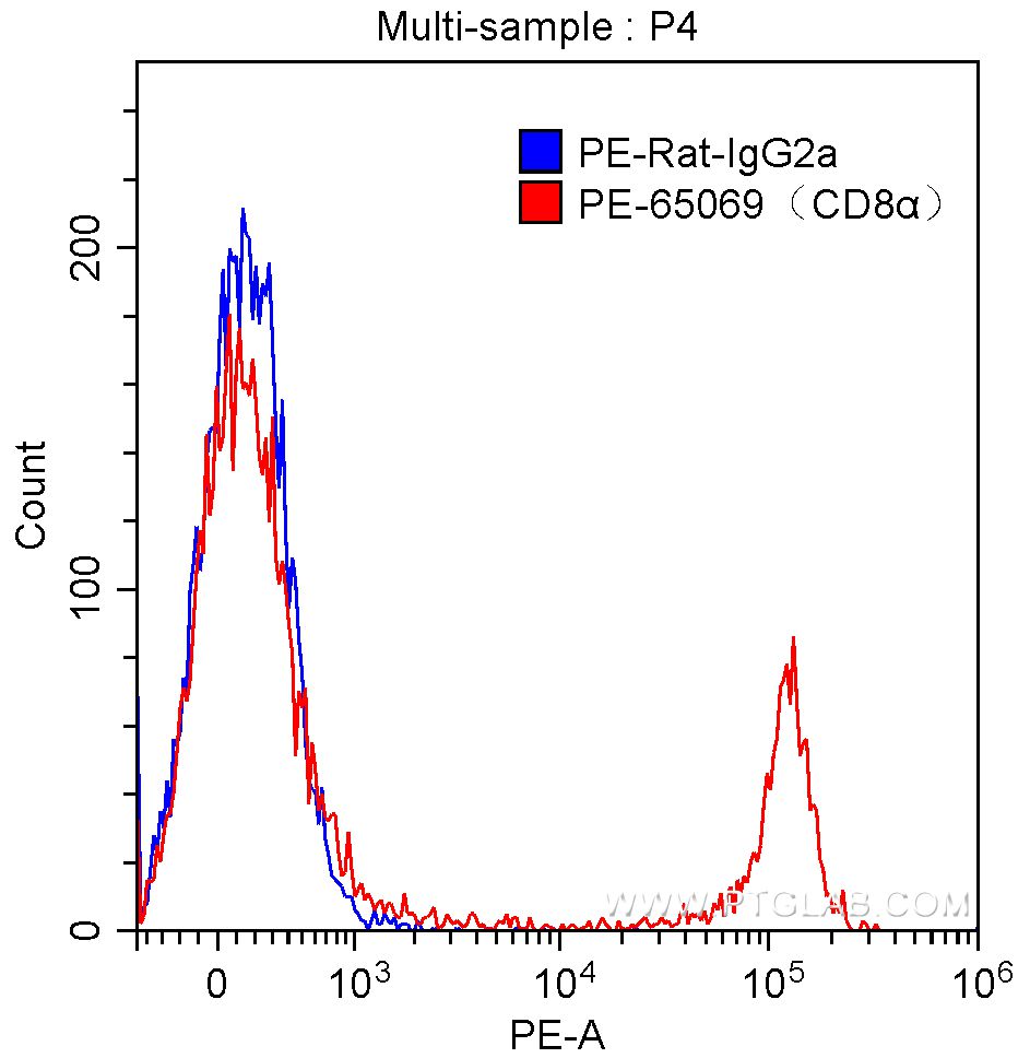 CD8a