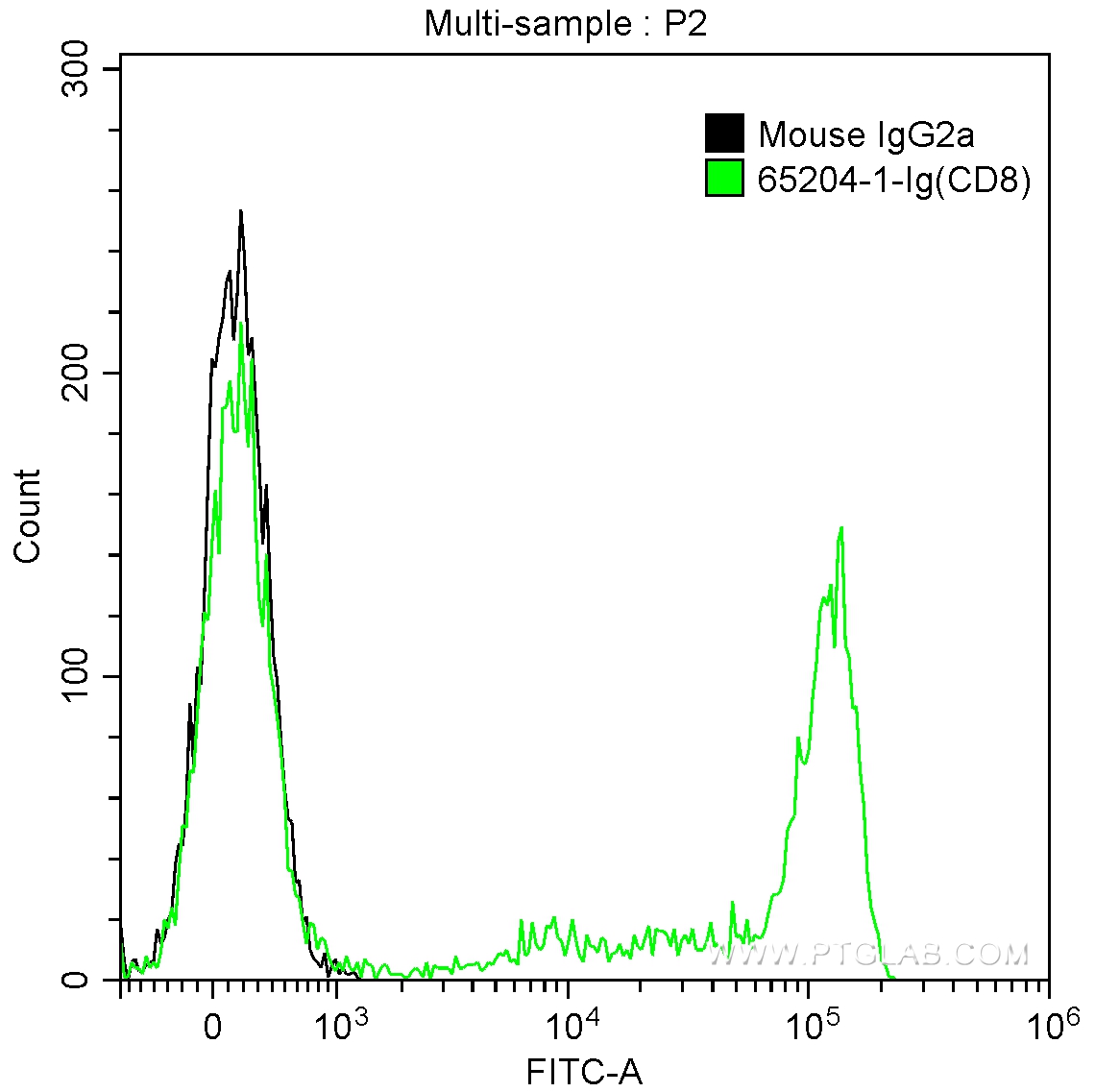 CD8