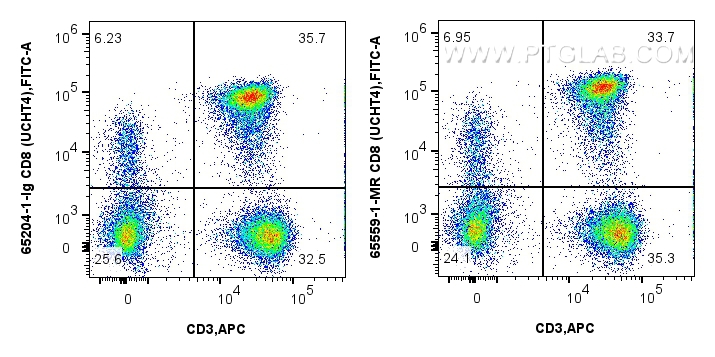 CD8