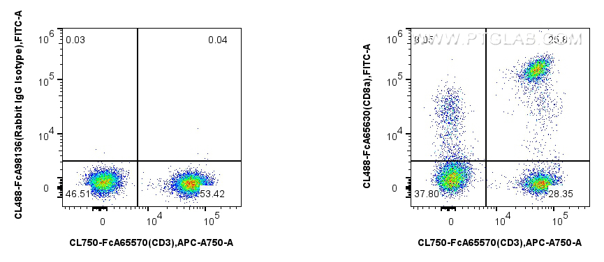 1x10^6 human PBMCs were surface stained with FcZero-rAb™ CoraLite® Plus 750 Anti-Human CD3 and 5 ul CoraLite® Plus 488 Anti-Human CD8 (SK1) Rabbit IgG RecAb (CL488-FcA65630, Clone:SK1), or 5 ul FcZero-rAb™ CoraLite® Plus 488 Rabbit IgG Isotype Control Recombinant Antibody (CL488-FcA98136, Clone: 240953C9). Cells were not fixed. FC experiment of human PBMCs using CL488-FcA65630