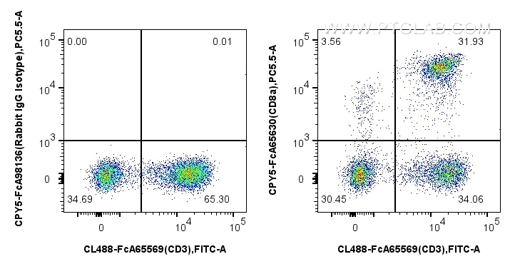 1x10^6 human PBMCs were surface stained with FcZero-rAb™ CoraLite® Plus 488 Anti-Human CD3 (OKT3), and 5 ul PerCP-Cyanine5.5 Anti-Human CD8 (SK1) Rabbit IgG RecAb (CPY5-FcA65630, Clone:SK1) or FcZero-rAb™ PerCP-Cyanine5.5 Rabbit IgG Isotype Control Recombinant Antibody (CPY5-FcA98136, Clone: 240953C9). Cells were incubated with MonoZero™ Monocytes blocking Reagent (<a class='green' href='/productredirect?CatalogNo=PF00020' target='_blank'>PF00020</a>) prior to staining. Cells were not fixed. Lymphocytes were gated. FC experiment of human PBMCs using CPY5-FcA65630