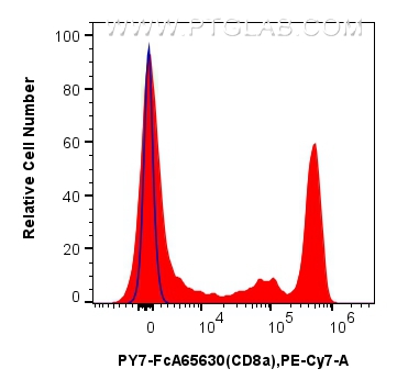 1x10^6 human PBMCs were surface stained with FcZero-rAb™ CoraLite® Plus 488 Anti-Human CD3 (OKT3), and 5 ul PE-Cyanine7 Anti-Human CD8 (SK1) Rabbit IgG RecAb (PY7-FcA65630, Clone:SK1) (red) or FcZero-rAb™ PE-Cyanine7 Rabbit IgG Isotype Control Recombinant Antibody (PY7-FcA98136, Clone: 240953C9) (blue). Cells were incubated with MonoZero™ Monocytes blocking Reagent (<a class='green' href='/productredirect?CatalogNo=PF00020' target='_blank'>PF00020</a>) prior to staining. Cells were not fixed. Lymphocytes were gated. FC experiment of human PBMCs using PY7-FcA65630