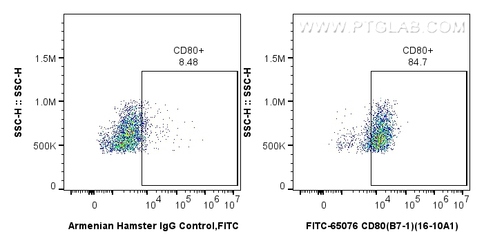 FC experiment of Balb/c mouse peritoneal macrophages using FITC-65076