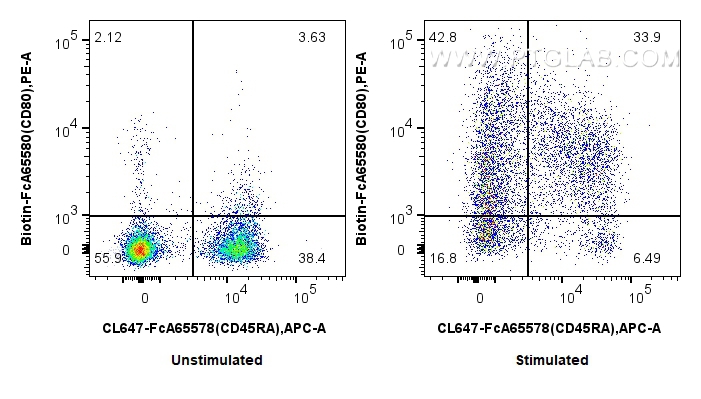 FC experiment of rat splenocytes using Biotin-FcA65580