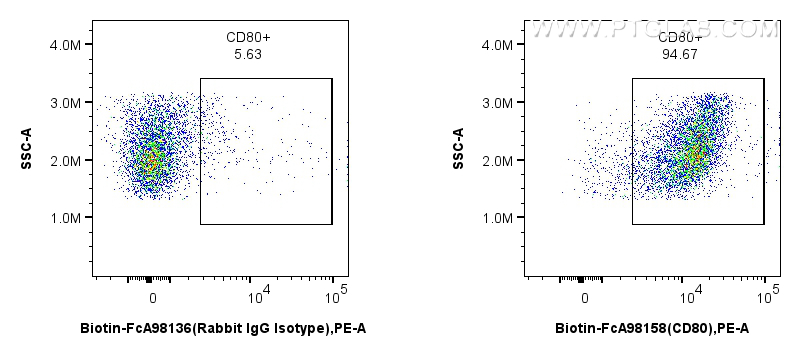 1x10^6 mouse peritoneal macrophages were surface stained with 0.25 ug Biotin Anti-Mouse CD80 Rabbit RecAb (Biotin-FcA98158, Clone: 241371E12) or FcZero-rAb™ Biotin Rabbit IgG Isotype Control Recombinant Antibody (<a class='green' href='/productredirect?CatalogNo=Biotin-FcA98136' target='_blank'>Biotin-FcA98136</a>, Clone: 240953C9), and PE-conjugated streptavidin. Cells were not fixed. FC experiment of mouse peritoneal macrophages using Biotin-FcA98158