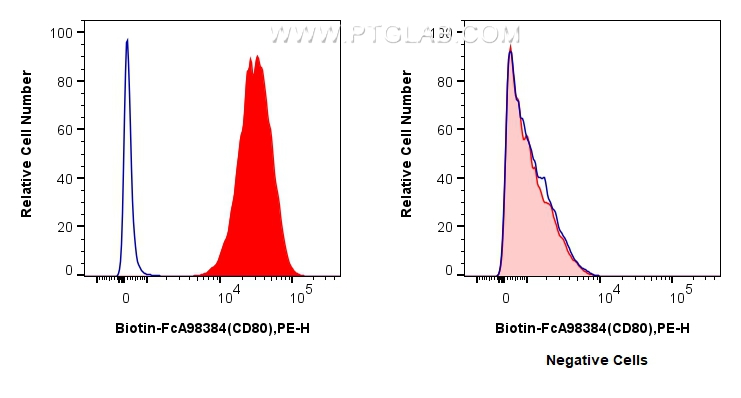 FC experiment of Raji using Biotin-FcA98384