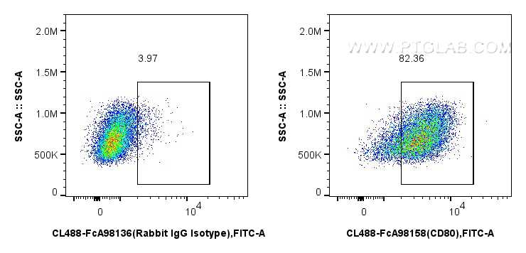 FC experiment of mouse peritoneal macrophages using CL488-FcA98158 FC experiment of mouse peritoneal macrophages using CL488-FcA98158