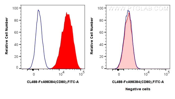 FC experiment of Raji using CL488-FcA98384 FC experiment of Raji using CL488-FcA98384