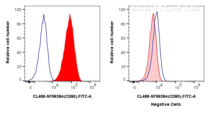 FC experiment of Raji using CL488-SF98384