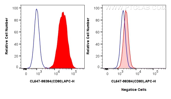 FC experiment of Raji using CL647-98384