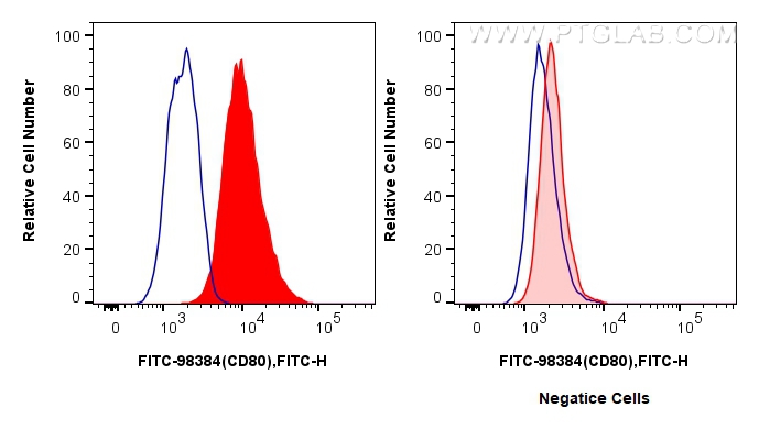 FC experiment of Raji using FITC-98384