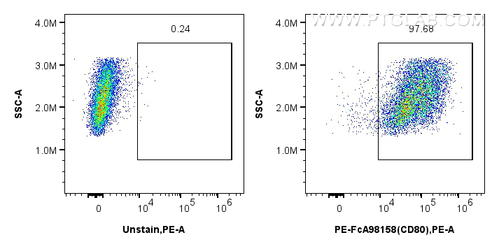 1x10^6 mouse peritoneal macrophages were surface stained with 0.1 ug PE Anti-Mouse CD80 Rabbit RecAb (PE-FcA98158, Clone: 241371E12) or 0.1 ug PE Rabbit IgG Isotype Control RecAb (<a class='green' href='/productredirect?CatalogNo=PE-FcA98136' target='_blank'>PE-FcA98136</a>, Clone: 240953C9). Cells were not fixed. FC experiment of mouse peritoneal macrophages using PE-FcA98158