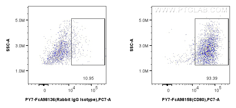1x10^6 Balb/c mouse peritoneal macrophages were surface stained with 0.25 ug PE-Cyanine7 Anti-Mouse CD80 Rabbit RecAb (PY7-FcA98158, Clone: 241371E12) or 0.25 ug FcZero-rAb™ PE-Cyanine7 Rabbit IgG Isotype Control Recombinant Antibody (PY7-FcA98136, Clone: 240953C9). Cells were incubated with human Fc blocking Reagent prior to staining. Cells were not fixed. FC experiment of Balb/c mouse peritoneal macrophages using PY7-FcA98158
