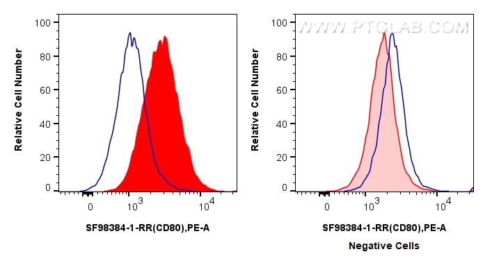 FC experiment of Raji using SF98384-1-RR