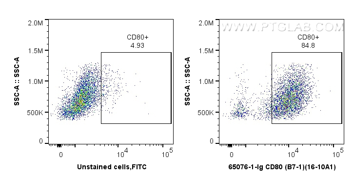 FC experiment of BALB/C mouse peritoneal macrophages using 65076-1-Ig