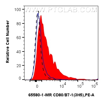 1x10^6 LPS-stimulated rat splenocytes were surface stained with 0.25 ug Anti-Rat CD80/B7-1 Mouse IgG2a Recombinant Antibody (65580-1-MR, Clone: 3H5) (red) or Mouse IgG2a Isotype Control (<a class='green' href='/productredirect?CatalogNo=65208-1-Ig' target='_blank'>65208-1-Ig</a>, Clone: C1.18.4) (blue) and PE-Conjugated Goat Anti-Mouse IgG. 1x10^6 unstimulated rat splenocytes were surface stained with 0.25 ug Anti-Rat CD80/B7-1 Mouse IgG2a Recombinant Antibody (65580-1-MR, Clone: 3H5)(black, dashed) and PE-Conjugated Goat Anti-Mouse IgG. Cells were not fixed. FC experiment of rat splenocytes using 65580-1-MR