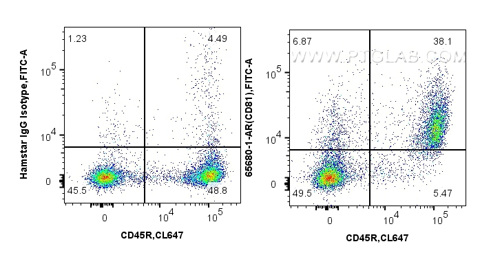 FC experiment of mouse splenocytes using 65680-1-AR