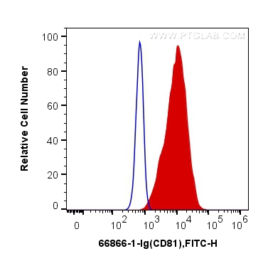 FC experiment of Jurkat using 66866-1-Ig
