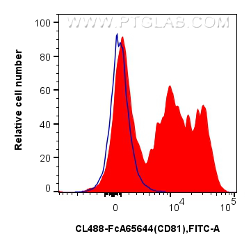 FC experiment of human peripheral blood leukocytes using CL488-FcA65644