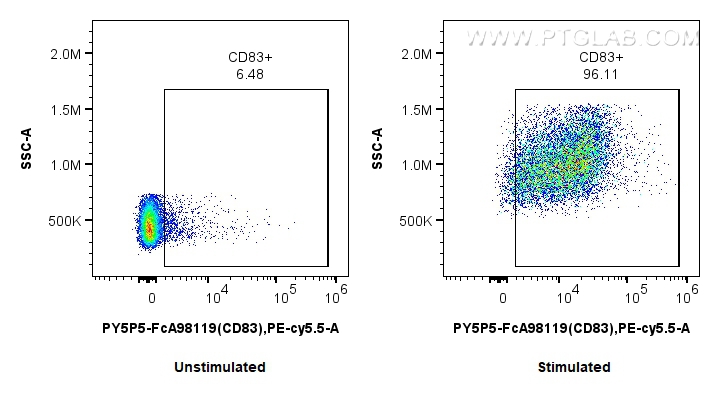 FC experiment of mouse splenocytes using PY5P5-FcA98119 FC experiment of mouse splenocytes using PY5P5-FcA98119