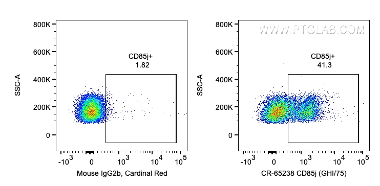 CD85j / LILRB1