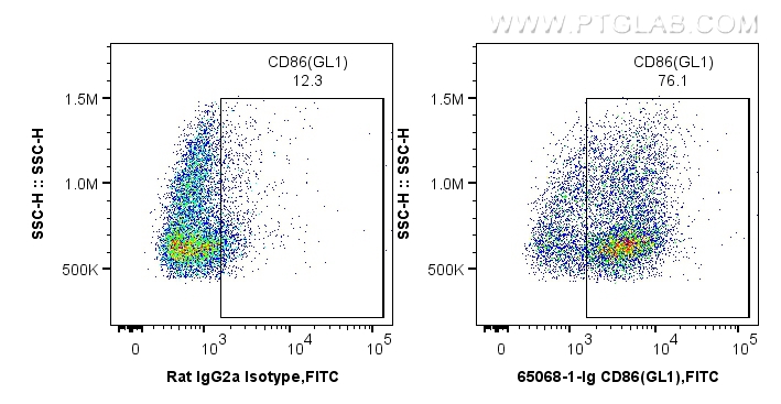 FC experiment of mouse splenocytes using 65068-1-Ig