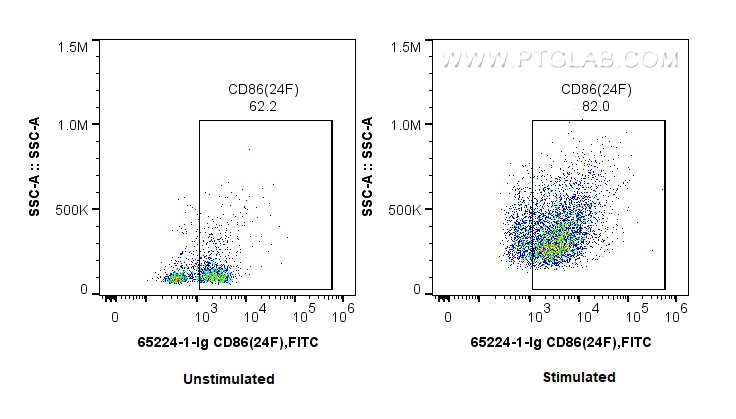 FC experiment of Wistar Rat splenocytes using 65224-1-Ig
