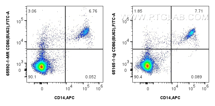 CD86