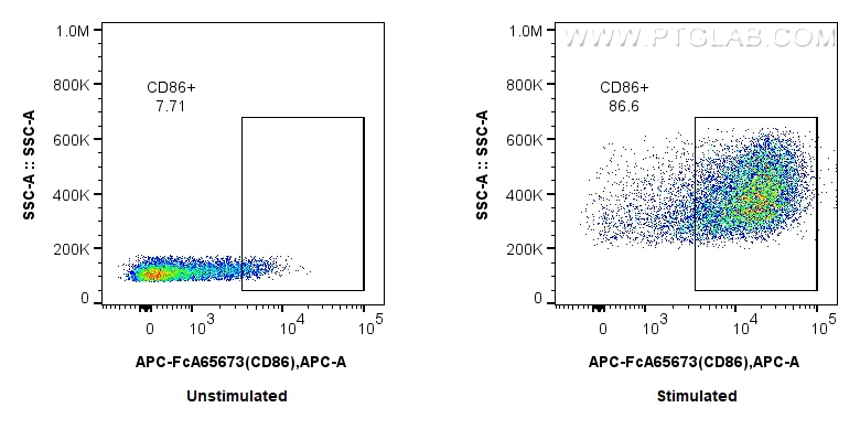 FC experiment of mouse splenocytes using APC-FcA65673 FC experiment of mouse splenocytes using APC-FcA65673