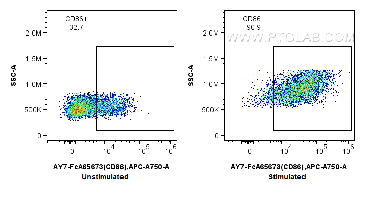 FC experiment of mouse splenocytes using AY7-FcA65673 FC experiment of mouse splenocytes using AY7-FcA65673