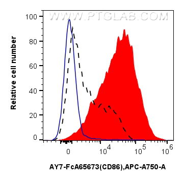 FC experiment of mouse splenocytes using AY7-FcA65673 FC experiment of mouse splenocytes using AY7-FcA65673