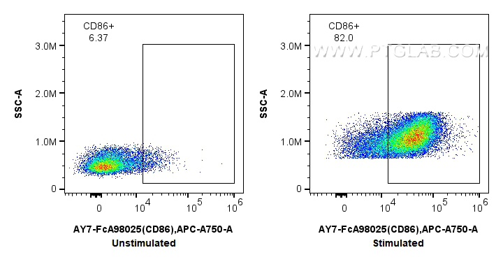 FC experiment of mouse splenocytes using AY7-FcA98025