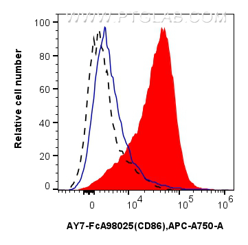 FC experiment of mouse splenocytes using AY7-FcA98025