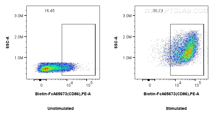 1x10^6 untreated or LPS-treated mouse splenocytes were surface stained with 0.25 ug Biotin Anti-Mouse CD86 (GL1) Rabbit IgG RecAb (Biotin-FcA65673, Clone: GL1) and PE-conjugated streptavidin. Cells were not fixed. FC experiment of mouse splenocytes using Biotin-FcA65673