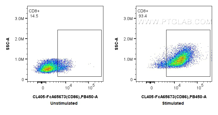 FC experiment of mouse splenocytes using CL405-FcA65673 FC experiment of mouse splenocytes using CL405-FcA65673