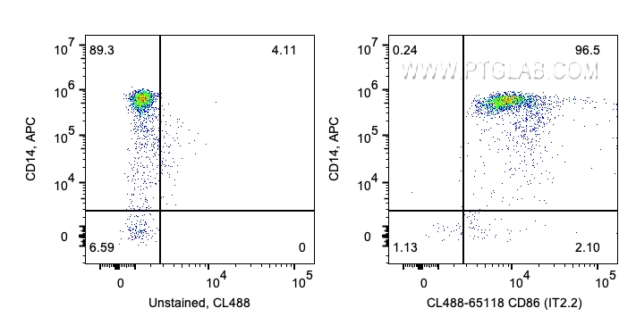 CD86