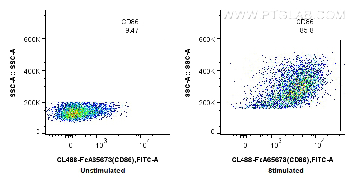 FC experiment of mouse splenocytes using CL488-FcA65673 FC experiment of mouse splenocytes using CL488-FcA65673