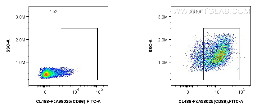 FC experiment of mouse splenocytes using CL488-FcA98025