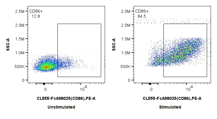 FC experiment of mouse splenocytes using CL555-FcA98025 FC experiment of mouse splenocytes using CL555-FcA98025