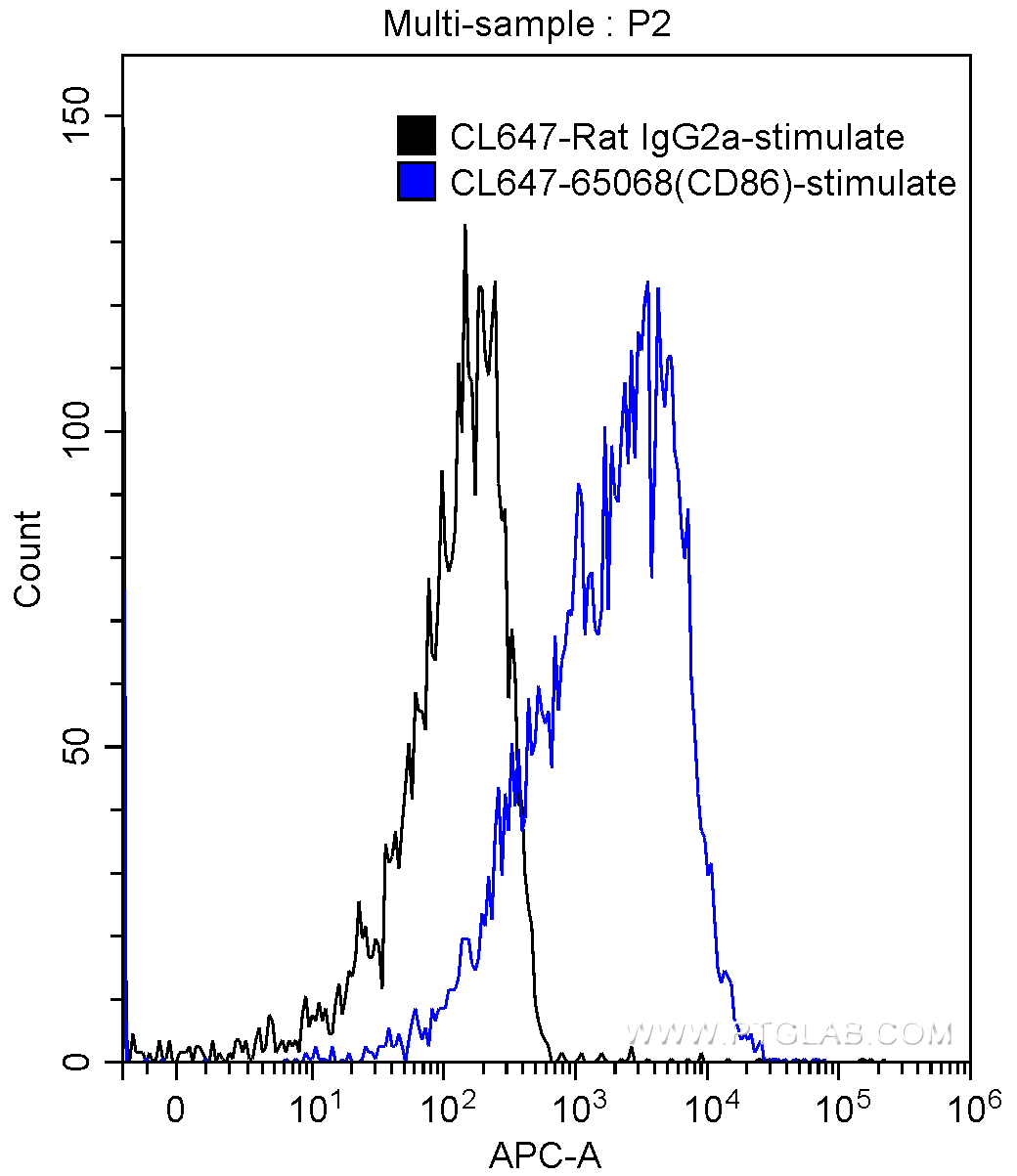 CD86