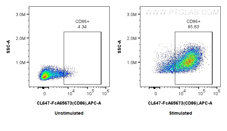 1x10^6 untreated (left) or LPS-treated (right) mouse splenocytes were surface stained with 0.25 ug CoraLite® Plus 647 Anti-Mouse CD86 (GL1) Rabbit IgG RecAb (CL647-FcA65673, Clone: GL1). Cells were not fixed. FC experiment of mouse splenocytes using CL647-FcA65673