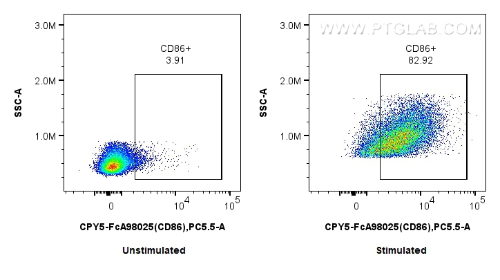 FC experiment of mouse splenocytes using CPY5-FcA98025