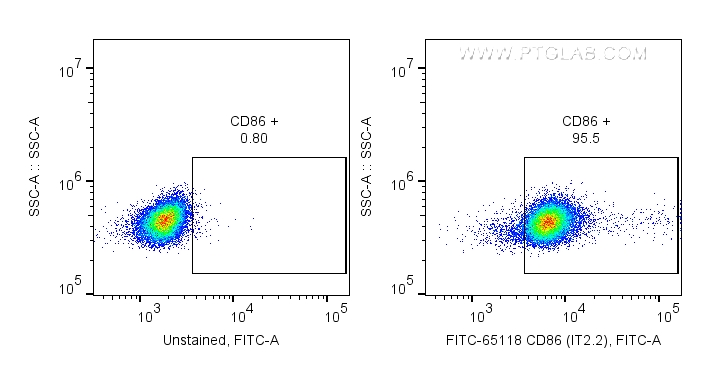 CD86