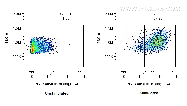 1x10^6 untreated or LPS treated mouse splenocytes were surface stained with 0.1 ug PE Anti-Mouse CD86 (GL1) Rabbit IgG RecAb (PE-FcA65673, Clone: GL1). Cells were not fixed. FC experiment of mouse splenocytes using PE-FcA65673