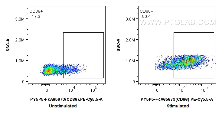 FC experiment of mouse splenocytes using PY5P5-FcA65673 FC experiment of mouse splenocytes using PY5P5-FcA65673